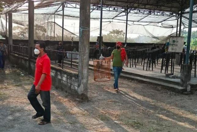 title Posting Kerumunan Lomba Burung, Pemuda di Gresik Dihajar Massa Posting Kerumunan Lomba Burung, Pemuda di Gresik Dihajar Massa