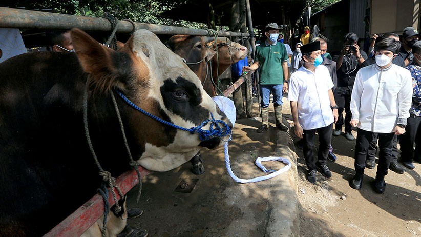 Bantu Warga Terdampak Pandemi, Kamrussamad Salurkan Hewan Kurban di Depok - Bagian 2