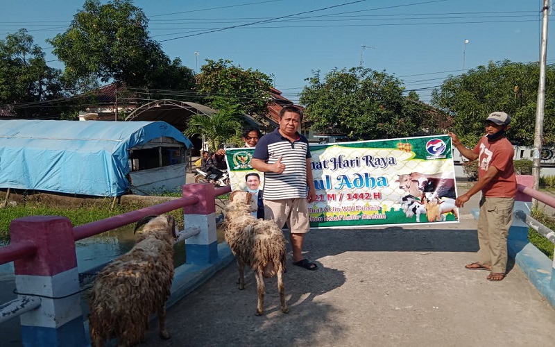 Bantu Warga di Tengah Pandemi, Legislator Perindo Jabar Sumbang 11 Sapi dan Domba 