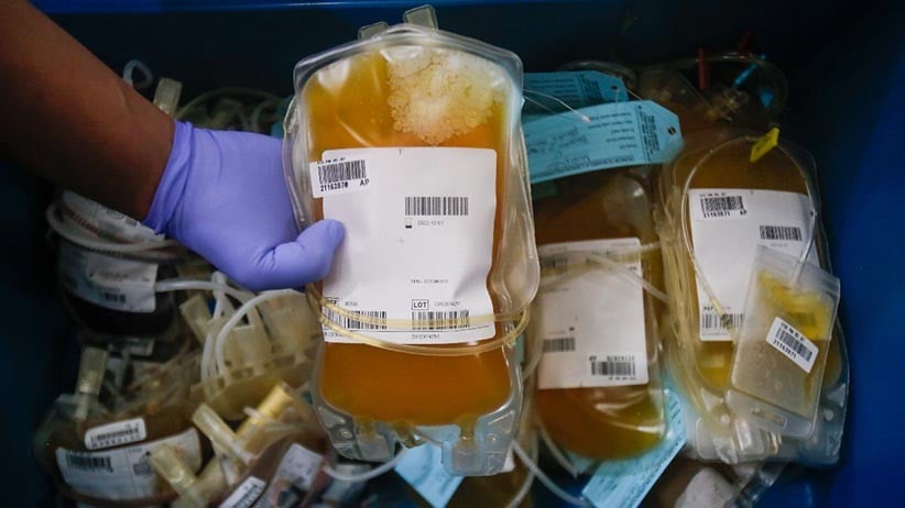 Bantah Jual Plasma, Terdakwa Oknum Pegawai PMI Berdalih Uang Terima Kasih 