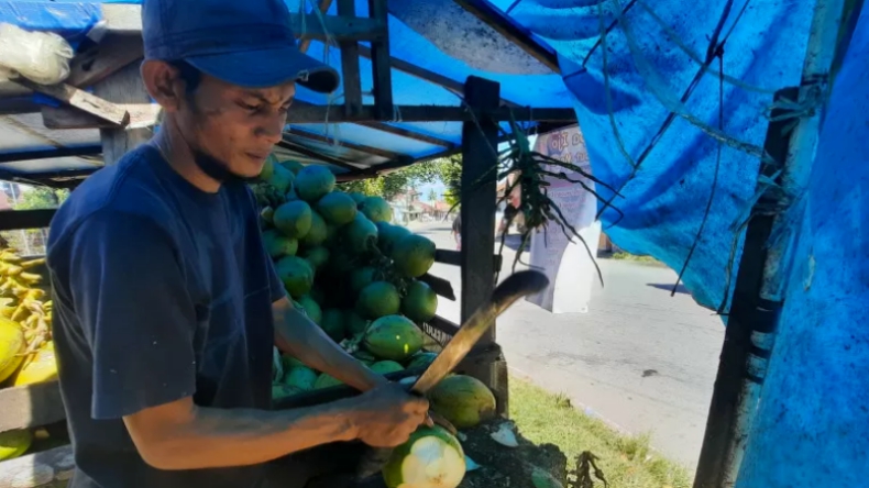 Dipercaya Bisa Ringankan Efek Vaksin Covid-19, Kelapa Muda di Pariaman Diburu Warga