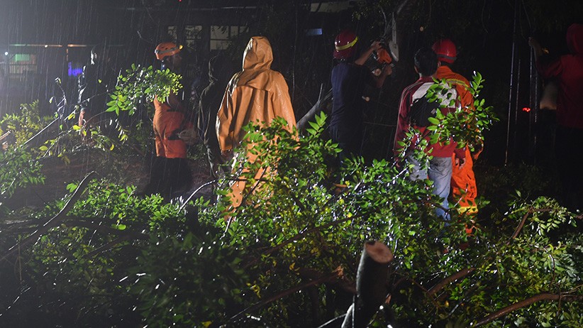 Pohon Tumbang Tutup Jalan di Palu - Bagian 2