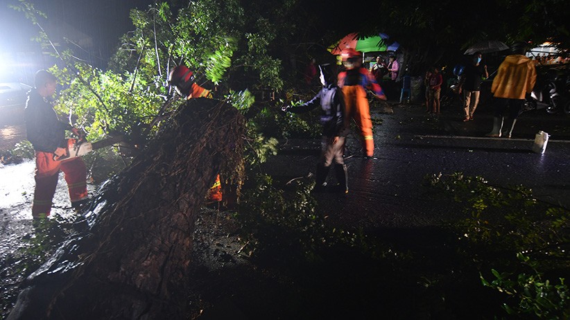 Pohon Tumbang Tutup Jalan di Palu - Bagian 1
