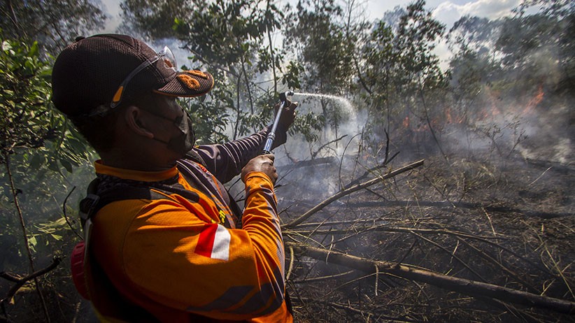 Relawan Berjibaku Padamkan Api Karhutla di Kalimantan Selatan - Bagian 3