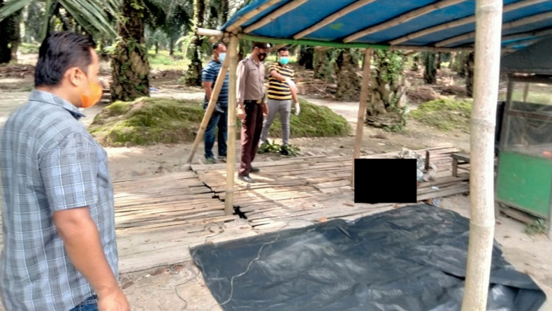 Warga Perbaungan Dihebohkan Penemuan Mayat Pria Tanpa Celana di Perkebunan Sawit 
