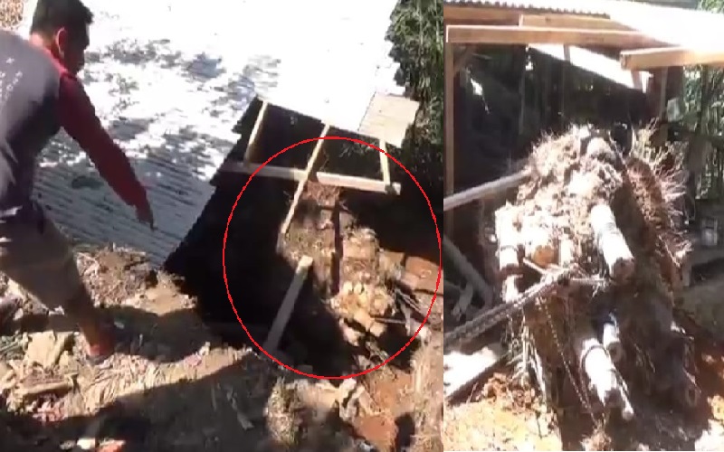 Sukabumi Geger, 2 Orang Tertimpa Tunggul Akar Rumpun Bambu, Satu Tewas