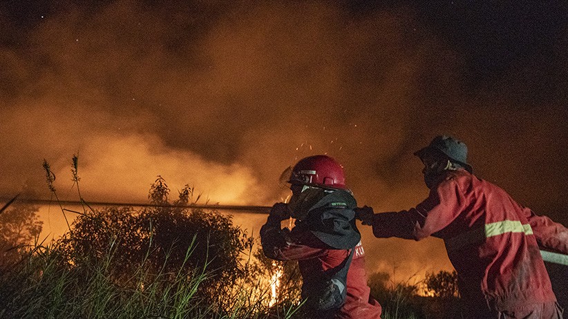 Kebakaran Lahan di Ogan Ilir, Petugas Gabungan Berjibaku Padamkan Api - Bagian 2