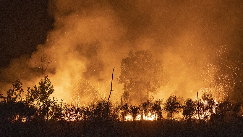 Kebakaran Lahan di Ogan Ilir, Petugas Gabungan Berjibaku Padamkan Api - Bagian 3