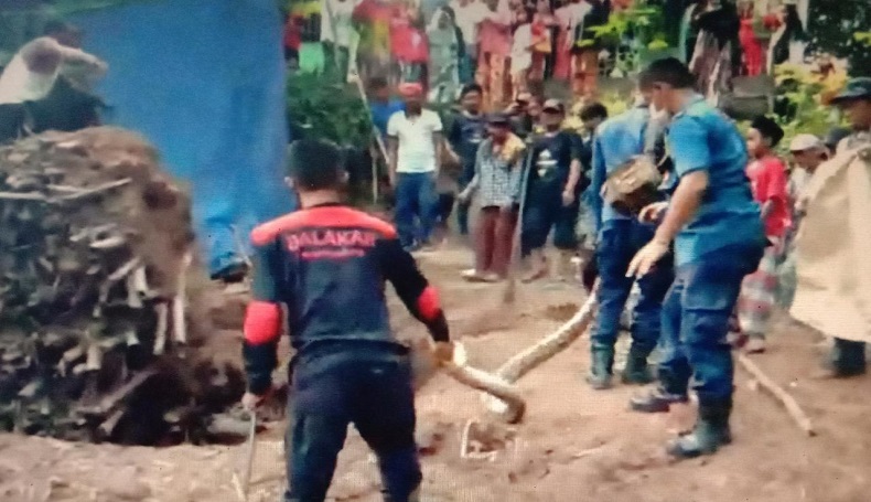 Ngeri, Kampung Cimuntuk Purwakarta Jadi Sarang Ular Besar, Beberapa Ekor Ditangkap