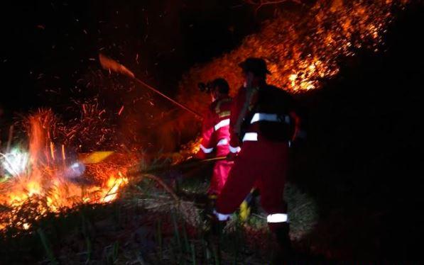 45 Hektare Lahan di Kawasan Danau Toba Terbakar, Pemadaman Terkendala Angin Kencang