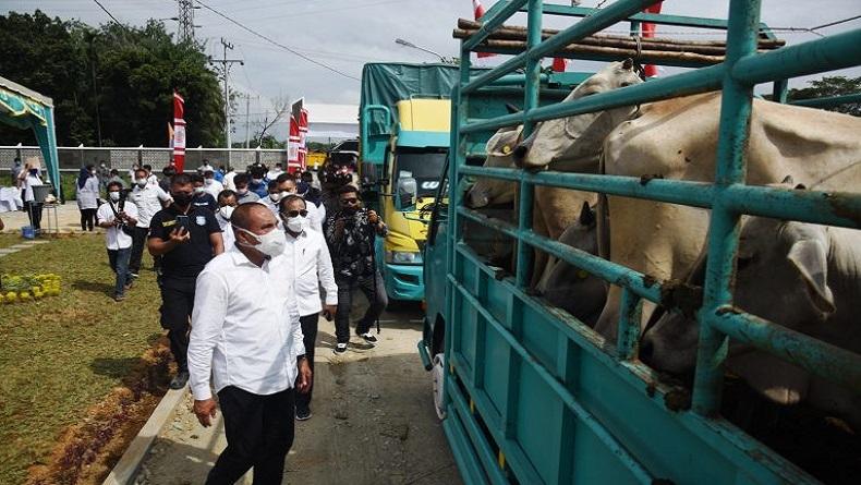 Serahkan Bantuan Ternak ke 18 Kelompok Tani, Edy Rahmayadi: Jangan Langsung Dijual