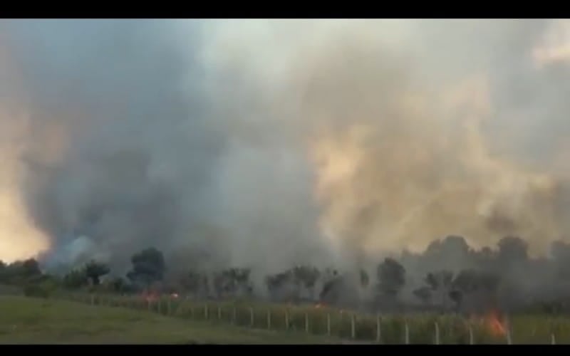  Hari Keempat, Karhutla di Ogan Ilir Meluas hingga 122 Hektare