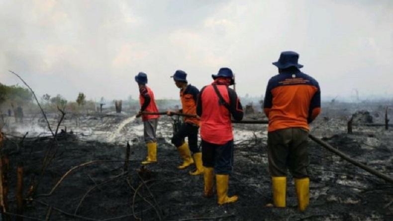 Karhutla di Sambas Capai 60 Hektare, Dipicu Pembukaan Lahan dengan Cara Dibakar