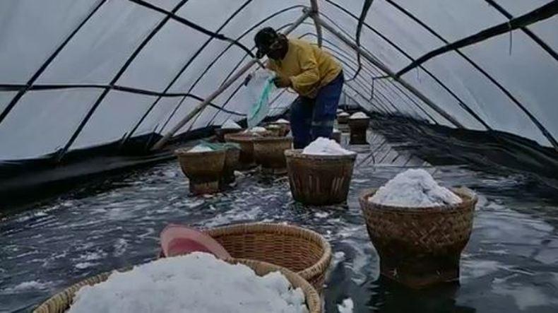 Pemerintah Diminta Bantu Pengembangan Garam Organik di Purworejo 