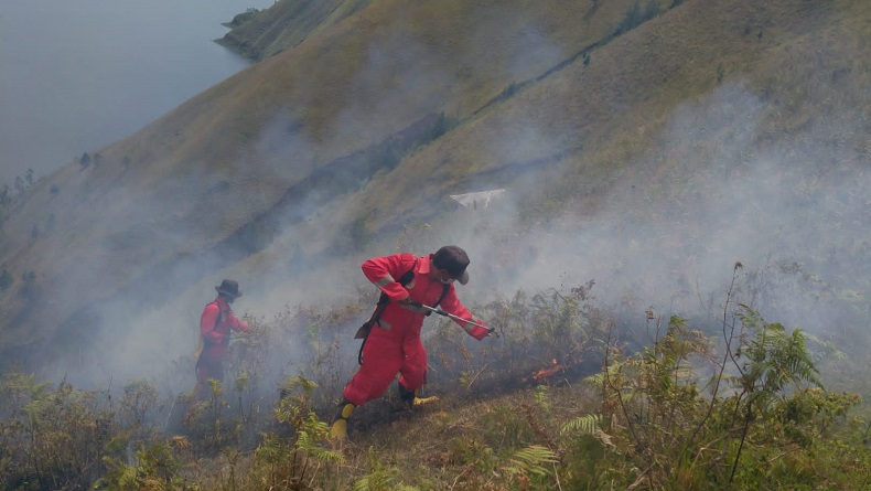 Karhutla di Samosir, 25 Hektare Lahan Warga Terbakar