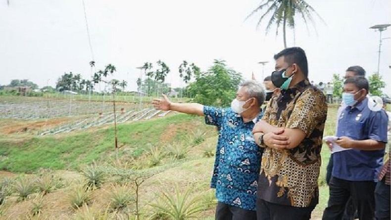 Tinjau TPU Covid-19, Bobby Nasution: Sejam Ada 3 Ambulans Antar Warga yang Gugur