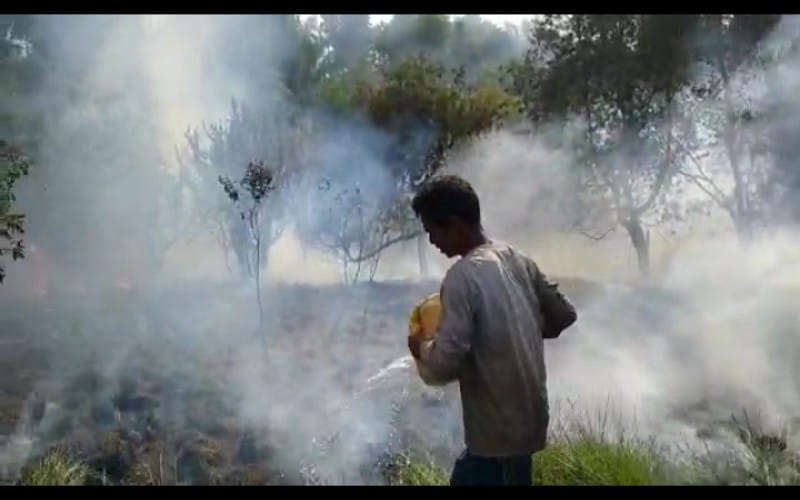 Karhutla di Ogan Ilir Capai 500 Hektare, Polisi Selidiki Penyebab Kebakaran 