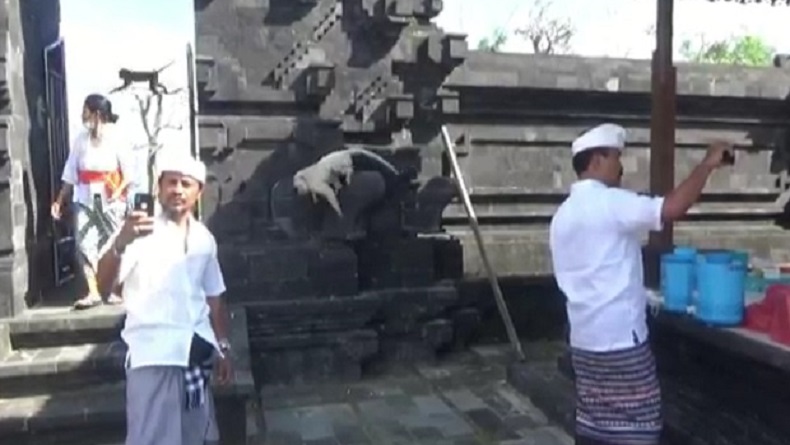 title Kemunculan Monyet Putih di Pura Uluwatu, Warga Yakini Pandemi Covid Segera Berlalu Kemunculan Monyet Putih di Pura Uluwatu, Warga Yakini Pandemi Covid Segera Berlalu