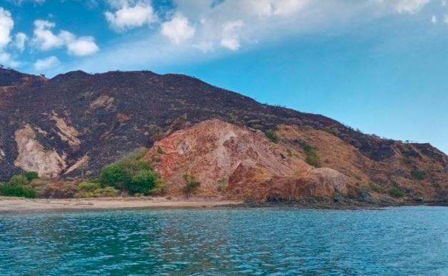 Kebakaran Lahan di Laju Pemali, Polisi Pastikan Taman Nasional Komodo Aman