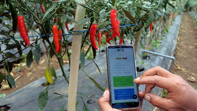 Petani Desa Gobleg Bali Gunakan Teknologi IoT untuk Pantau Hasil Perkebunan - Bagian 1