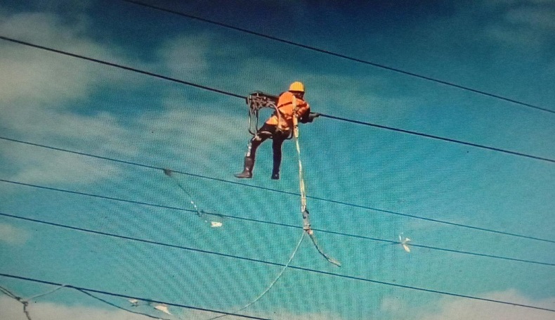 Viral, Petugas PLN Bertaruh Nyawa Bersihkan Sampah Layangan di Jalur Tegangan Tinggi