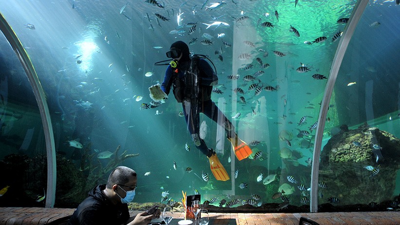 Restoran Terindah di Dunia, Menyantap Makanan Ditemani 2.400 Ekor Ikan - Bagian 3