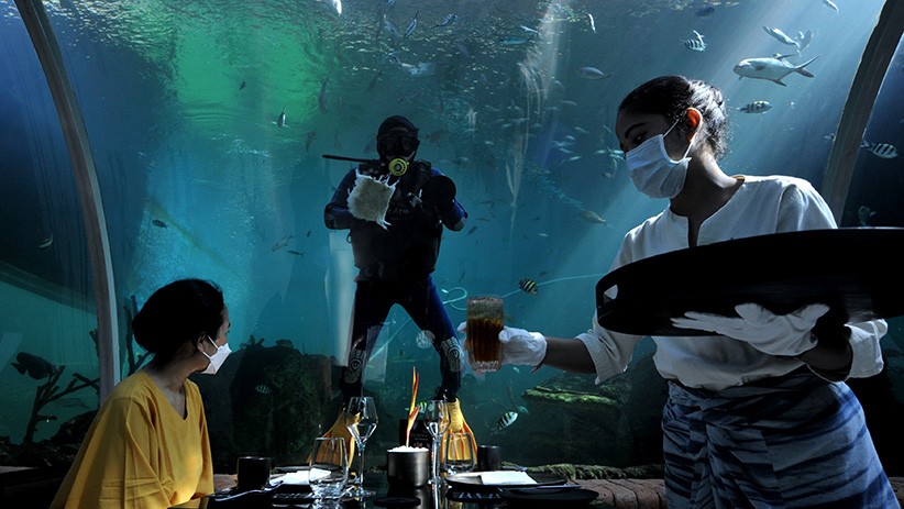 Restoran Terindah di Dunia, Menyantap Makanan Ditemani 2.400 Ekor Ikan - Bagian 2