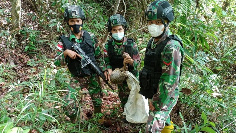 title Hewan Langka Ditemukan TNI saat Patroli di Perbatasan Indonesia-Malaysia Hewan Langka Ditemukan TNI saat Patroli di Perbatasan Indonesia-Malaysia