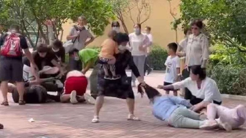 Pengunjung Kebun Binatang Berkelahi, Hewan Ikut-ikutan Baku Hantam