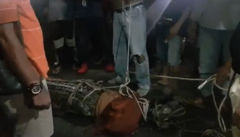 Tengah Malam, Buaya Sepanjang 4 Meter Ditangkap Warga Singkawang