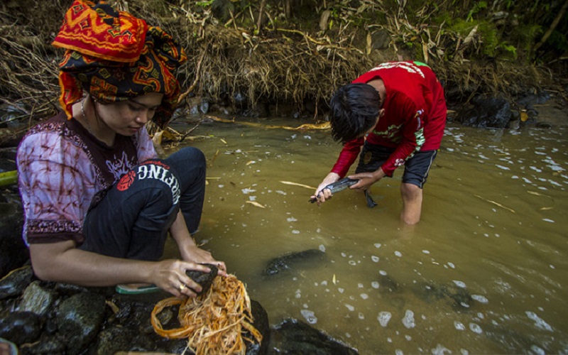 Mengintip Masyarakat Dayak Meratus dan Tradisi Maliyu