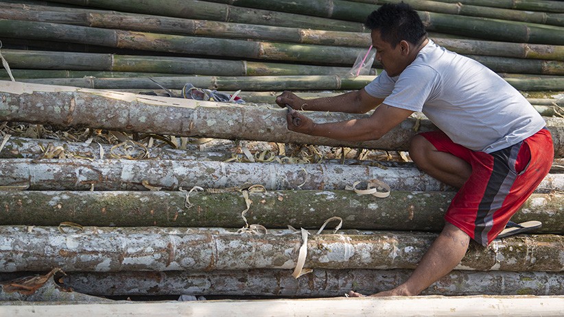 Terdampak Pandemi, Penjualan Pohon Pinang untuk Lomba HUT RI Anjlok - Bagian 1