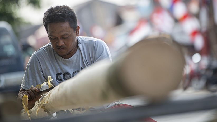Terdampak Pandemi, Penjualan Pohon Pinang untuk Lomba HUT RI Anjlok - Bagian 2