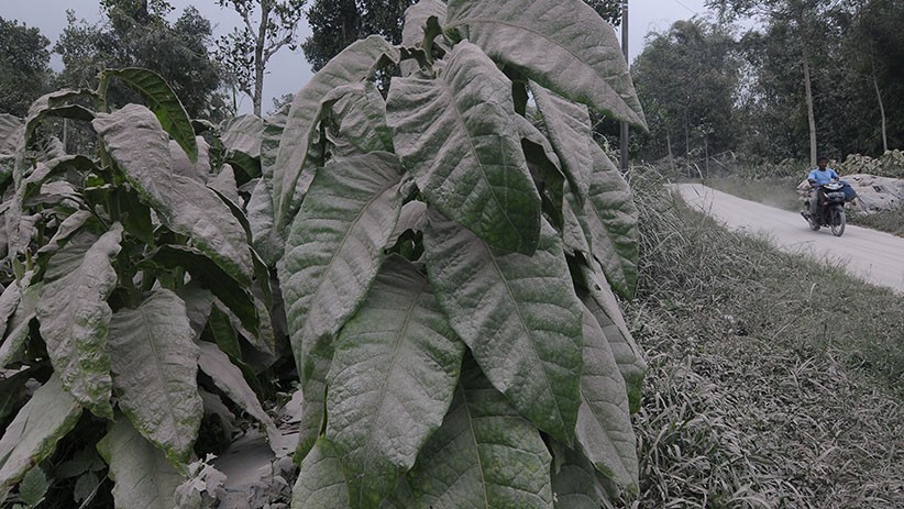 Boyolali dan Magelang Diselimuti Abu Vulkanik Gunung Merapi - Bagian 1