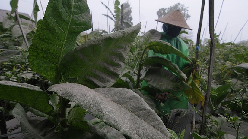 Boyolali dan Magelang Diselimuti Abu Vulkanik Gunung Merapi - Bagian 2