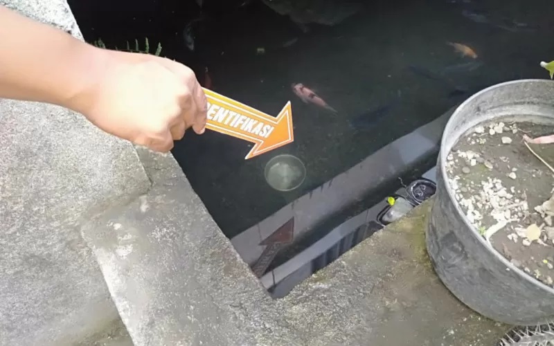 Main Dekat Kolam Ikan, Bocah 2 Tahun Ditemukan Tewas Terapung