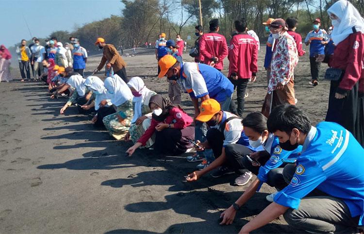 Peringati HUT Kemerdekaan, Pokdarwis Pantai Gua Cemara Lepas 76 Tukik