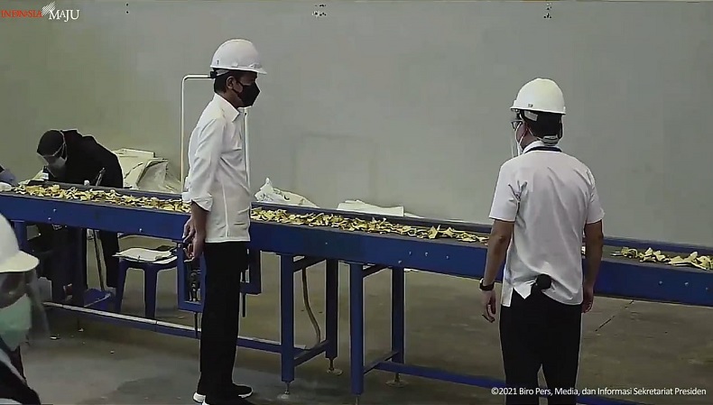 Jokowi Minta Mentan Seriusi Pengembangan Porang usai Tinjau Pabriknya di Madiun