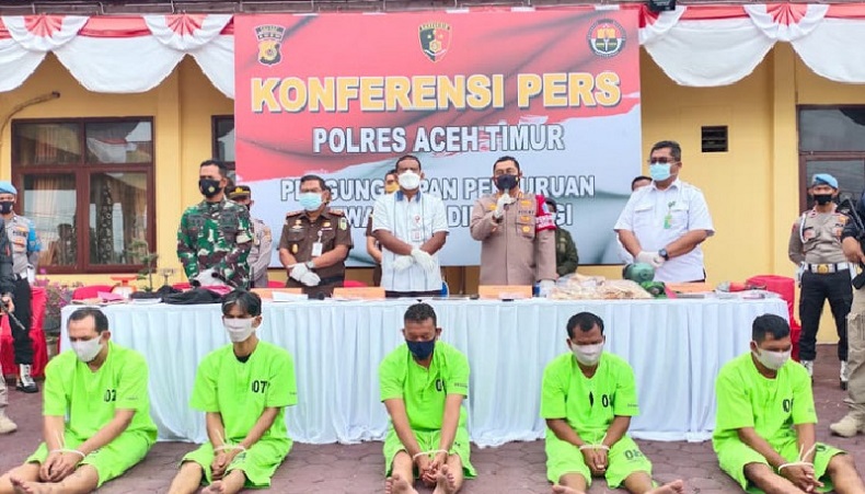 5 Pembunuh Gajah di Aceh Timur Bagian Sindikat Nasional, Gembongnya Diminta Diungkap