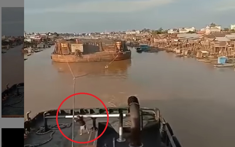 Sempat Viral, Pemotong Tali Towing Kapal Tongkang di DAS Kali Napu Ditangkap Polisi