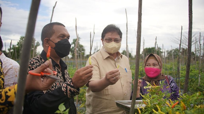 Kunjungi Kalsel, Menko Airlangga Apresiasi Terobosan Sektor Pertanian di Masa Pandemi