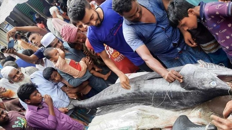 Ikan Langka Bersayap Panjang Tertangkap Jaring Nelayan, Begini Bentuknya
