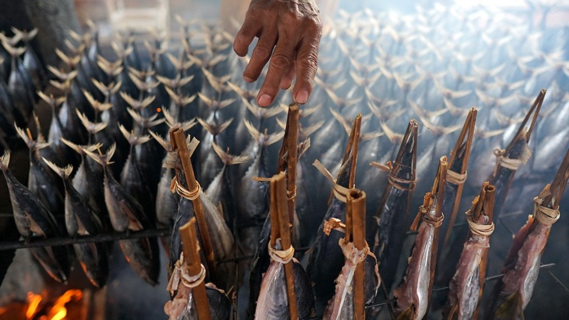 Melihat Proses Pembuatan Ikan Cakalang Asap - Bagian 2