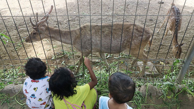 Markas Brigif Mekanis 16/Wira Yudha Ada Penangkaran Rusa, Terbuka untuk Umum - Bagian 2