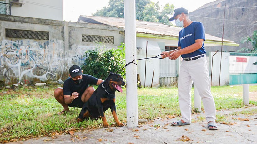 Vaksin Rabies Gratis untuk Hewan Peliharaan di Jakarta Selatan - Bagian 2