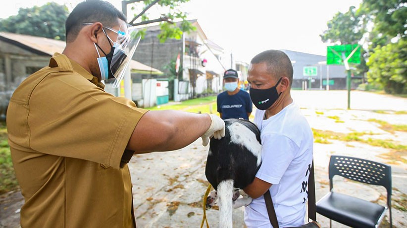 Vaksin Rabies Gratis untuk Hewan Peliharaan di Jakarta Selatan - Bagian 3