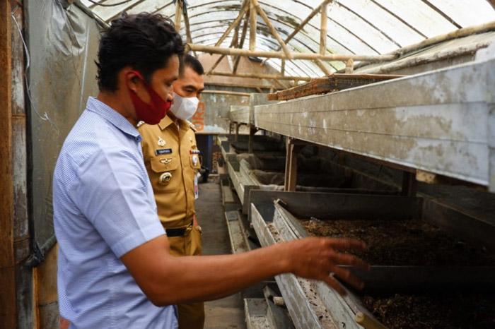 Warga Gunungkidul Sukses Budi Daya Maggot Beromzet Puluhan Juta