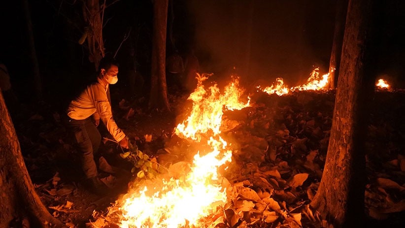 Puluhan Hektare Hutan Lindung di Situbondo Terbakar Gegara Ulah Pencari Burung - Bagian 1