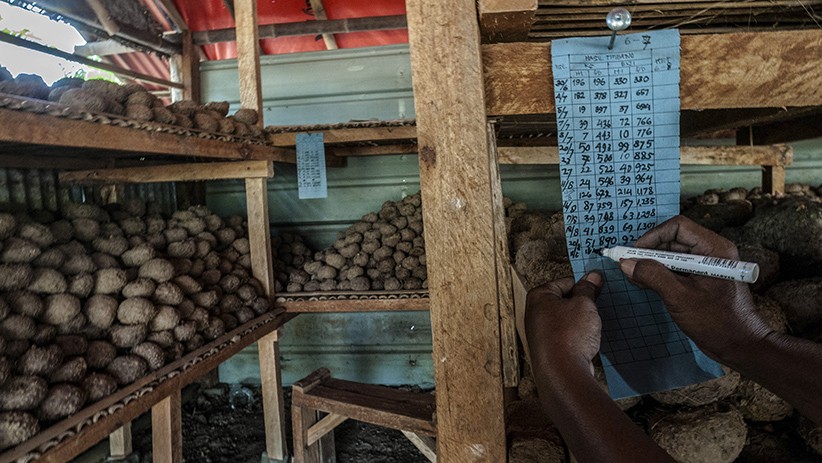 Nilai Ekspor Porang Capai Rp923,6 Miliar - Bagian 3