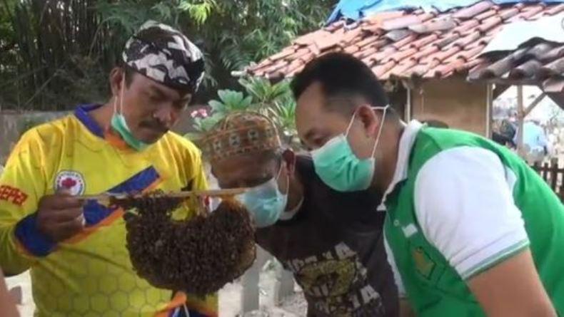  Kreatif, Pemakaman di Tegal Ini Dijadikan Lokasi Budi Daya Lebah